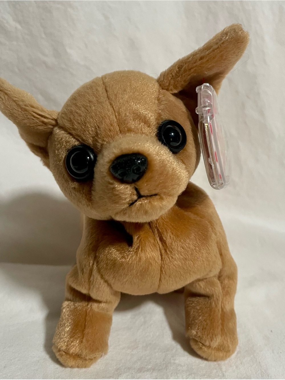 VTG 1998 Ty Beanie Baby - Tiny the Chihuahua NWT